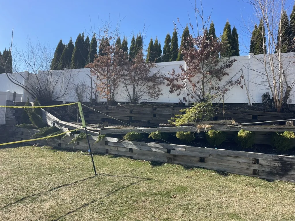 The original timber retaining wall leaning and failing, taped off, with overgrown planting spilling over the tiers